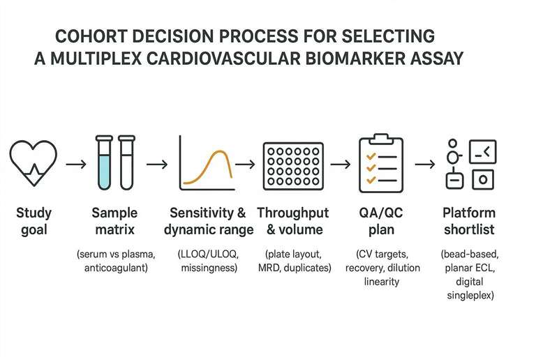 Cohort decision flow for choosing a multiplex cardiovascular biomarker assay