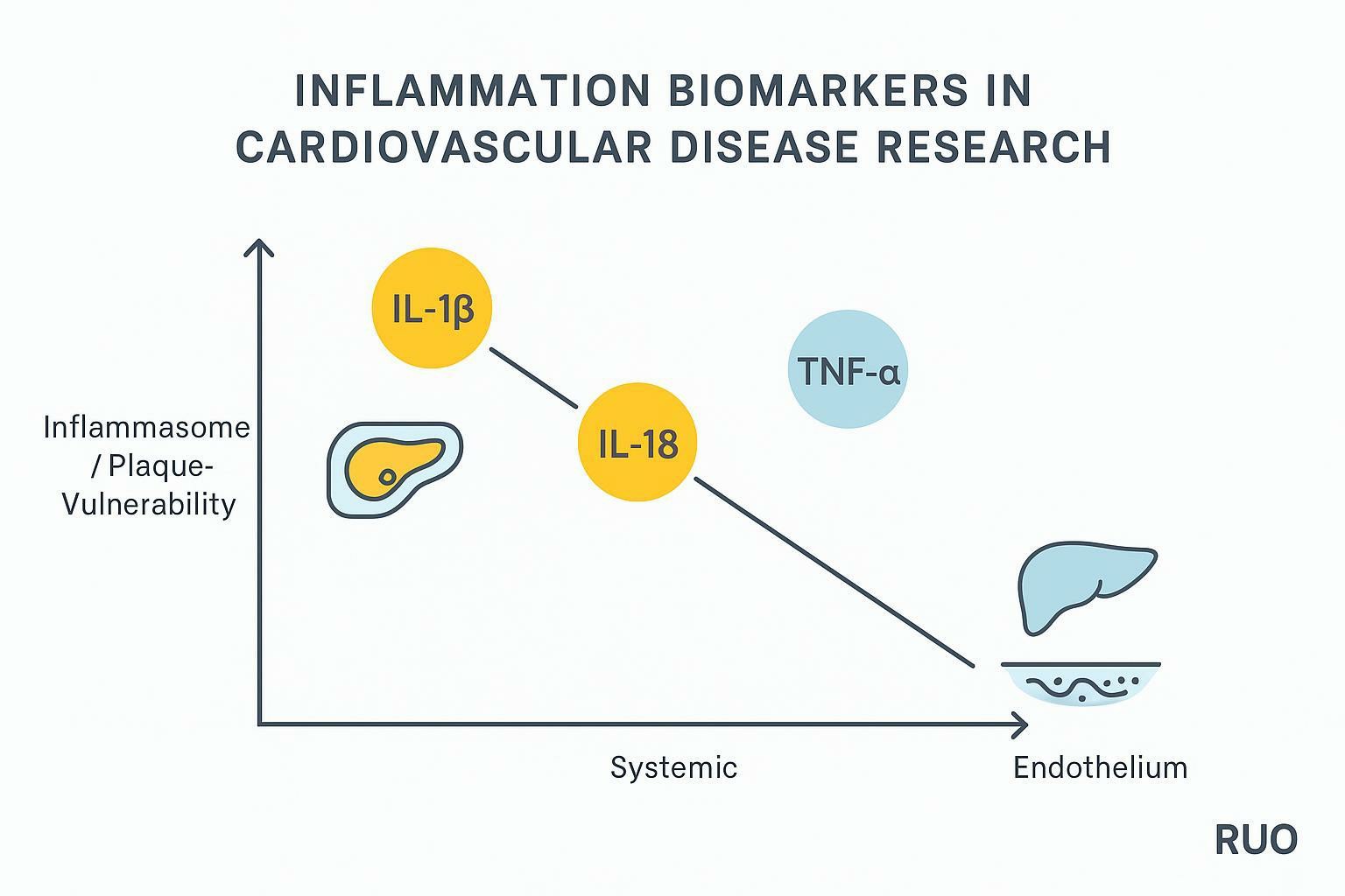 Inflammation Biomarkers in Cardiovascular Disease: IL-1, IL-6, IL-18, TNF-α & CRP (When to Use Which)
