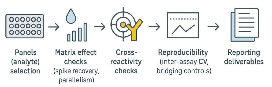 One-page map of multiplex immunoassay QC from panel design to reporting.